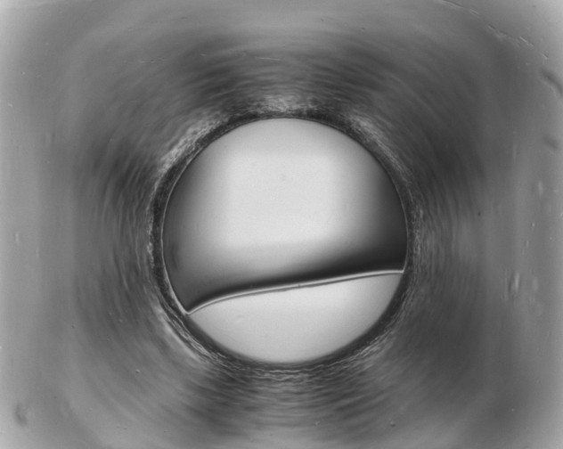 X0000103290443200808291111