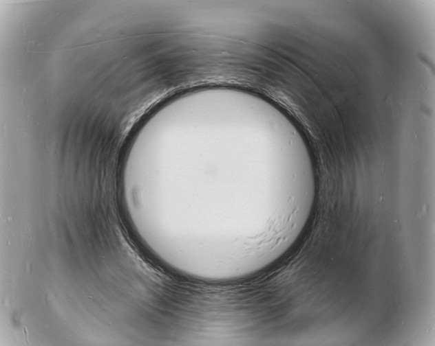 X0000103290444200808291111