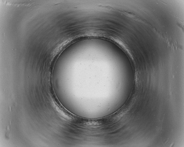 X0000103290445200808291111