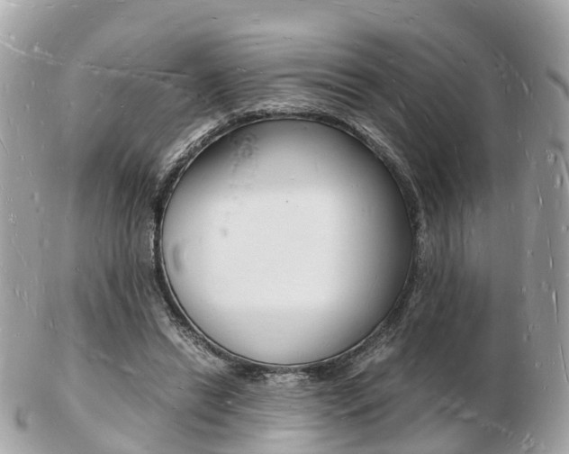X0000103290446200808291111