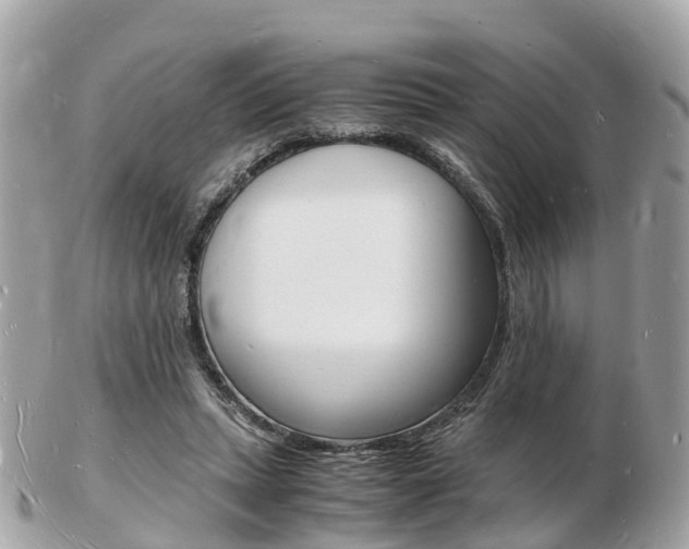 X0000103290447200808291111