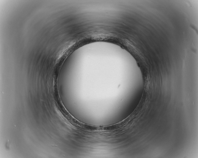 X0000103290448200808291111