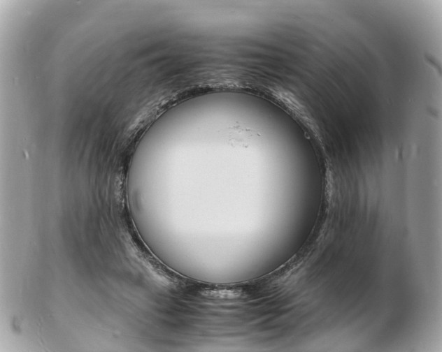 X0000103290449200808291111