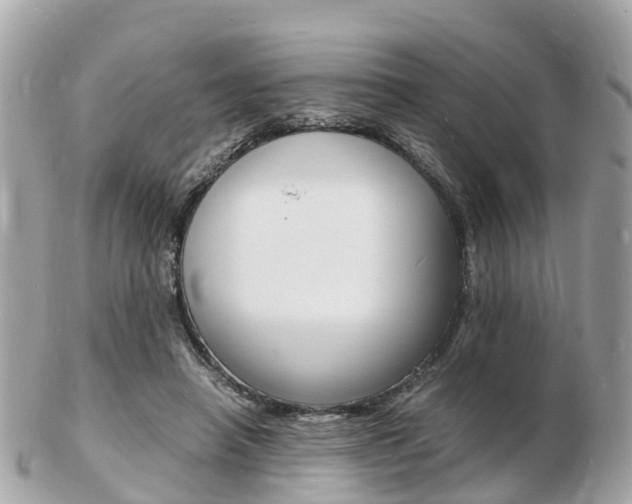 X0000103290450200808291111
