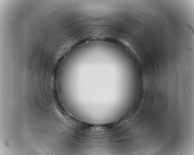 X0000103290451200808291111