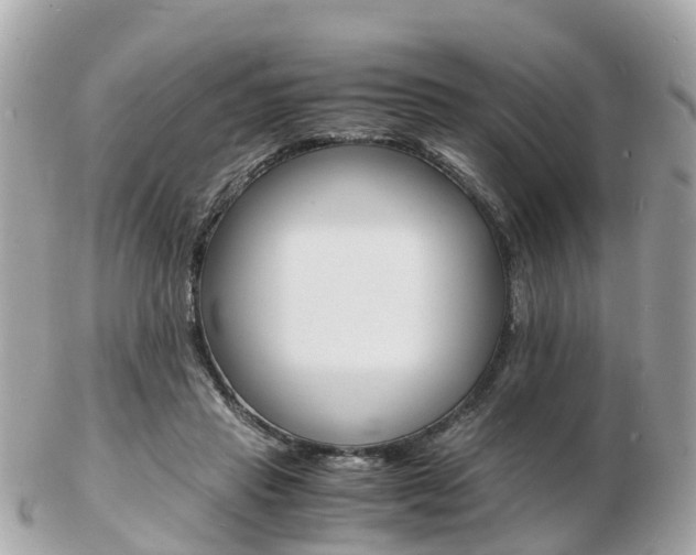 X0000103290453200808291112