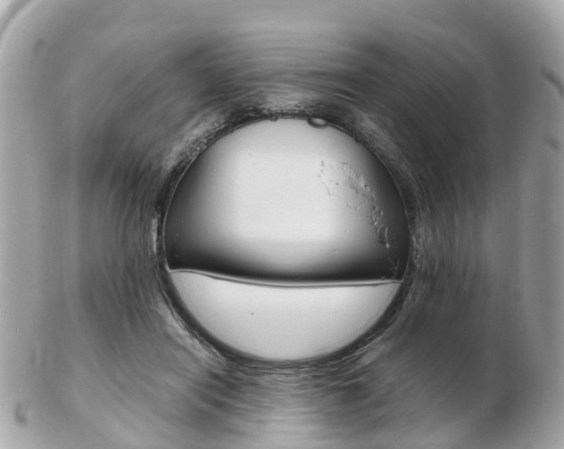 X0000103290454200808291112