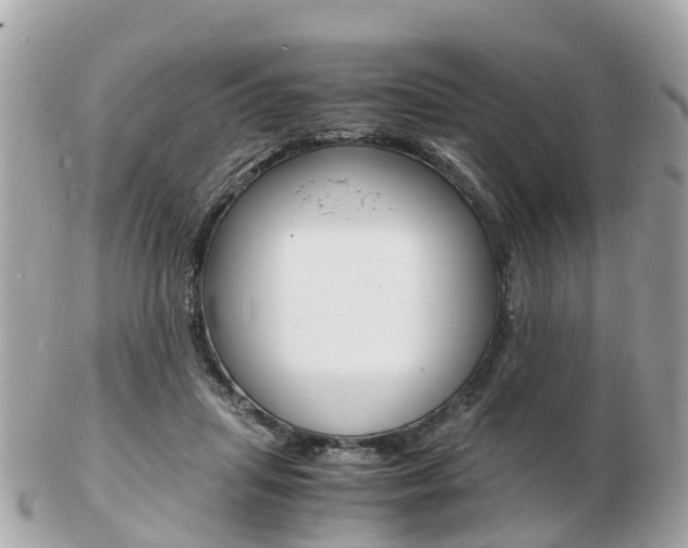 X0000103290455200808291112