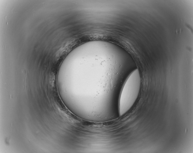 X0000103290458200808291112