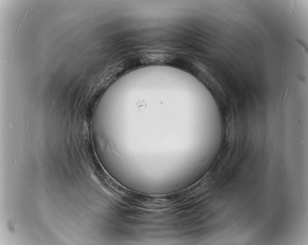 X0000103290459200808291112