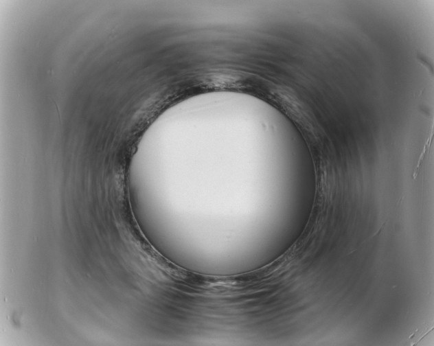 X0000103290461200808291112