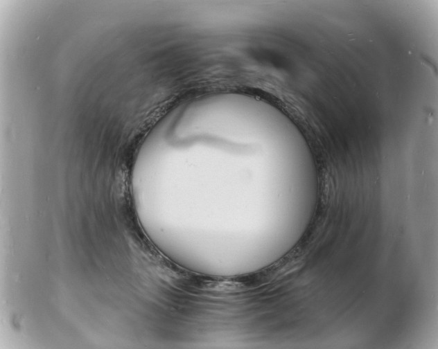 X0000103290463200808291112