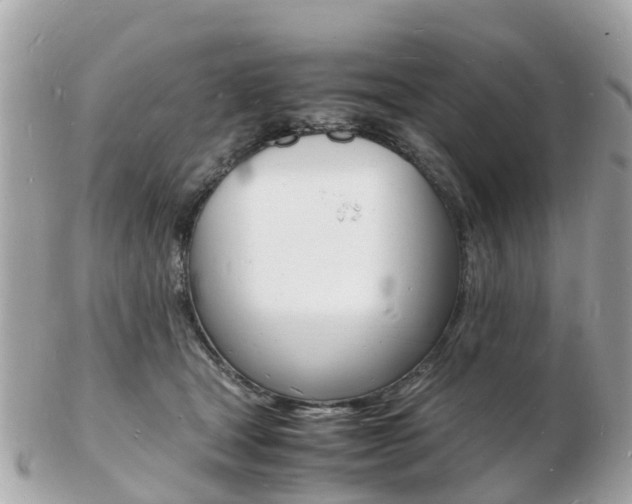 X0000103290465200808291112