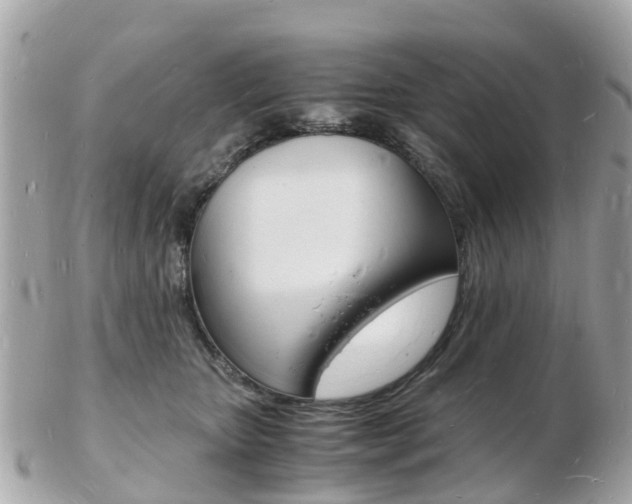 X0000103290467200808291112