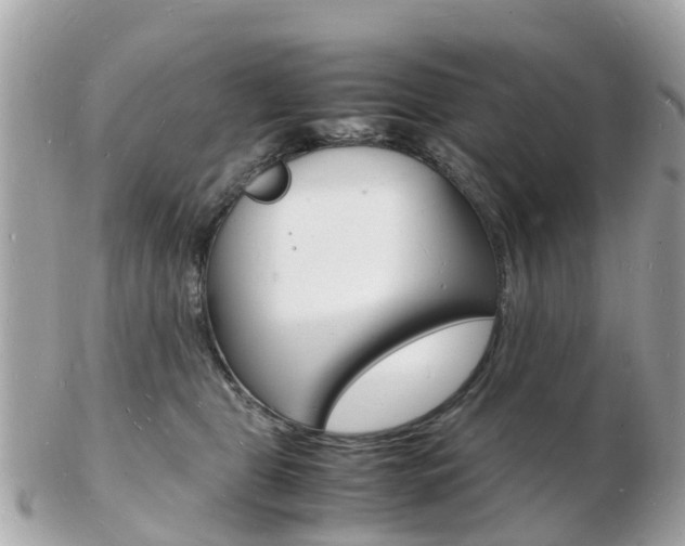 X0000103290469200808291112