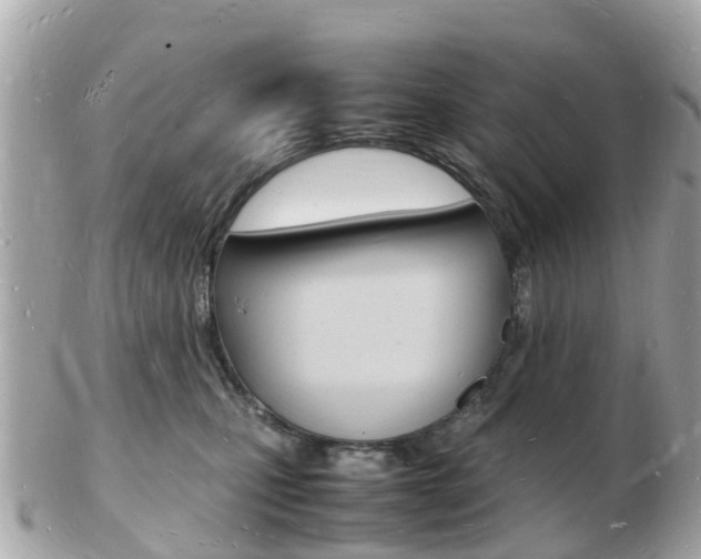 X0000103290471200808291112