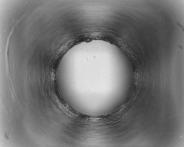 X0000103290472200808291112