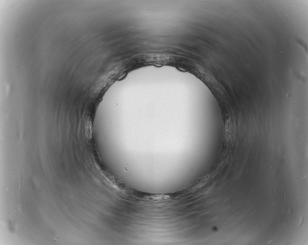 X0000103290474200808291112