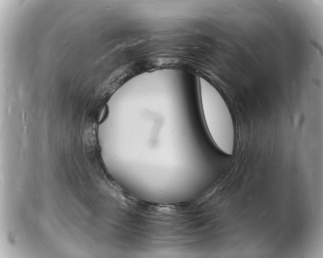 X0000103290475200808291112