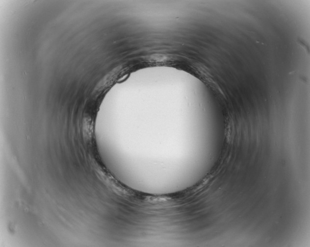 X0000103290476200808291112
