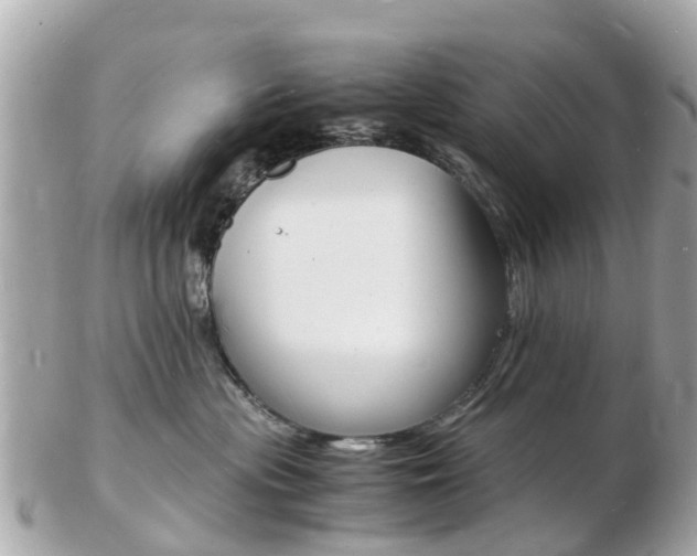 X0000103290477200808291112