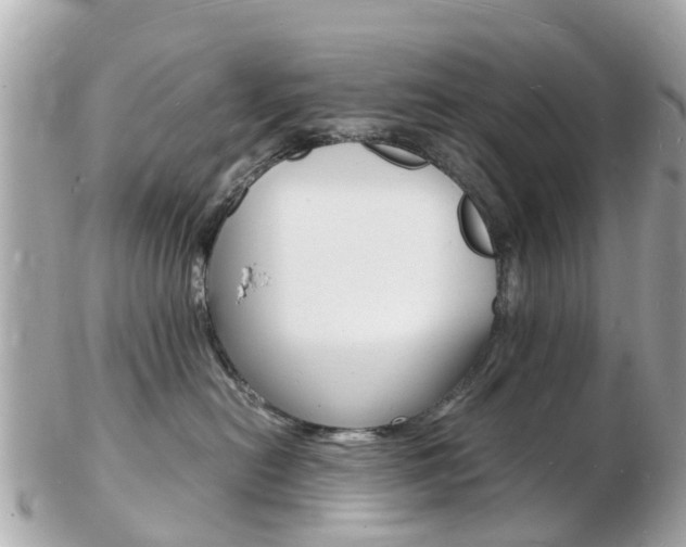 X0000103290478200808291112