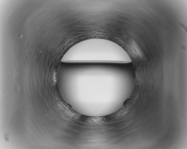 X0000103290479200808291112