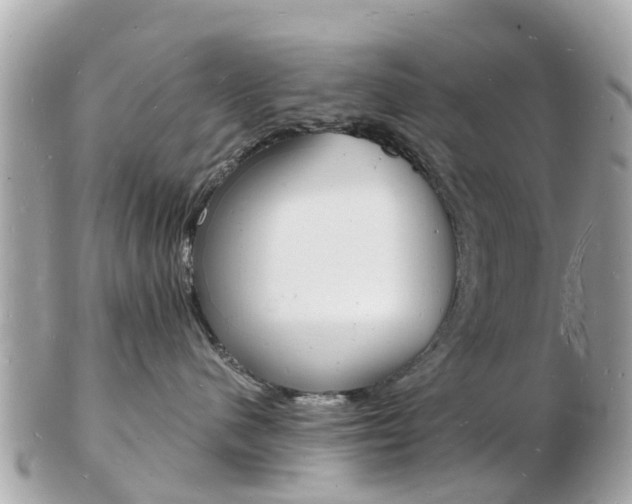 X0000103290480200808291112