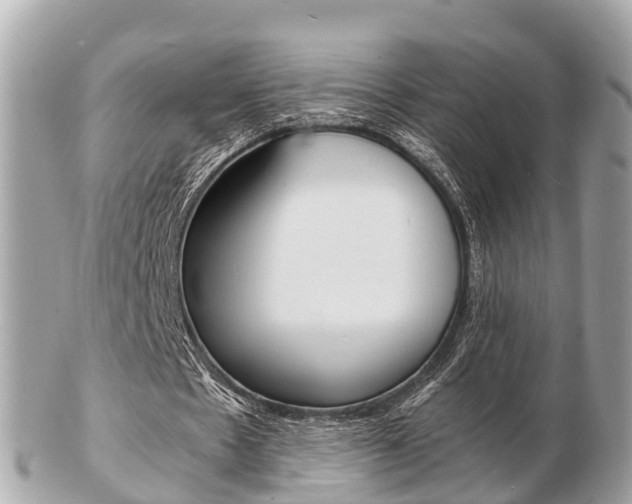 X0000103290481200808291111