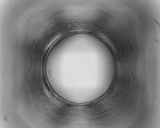 X0000103290482200808291111