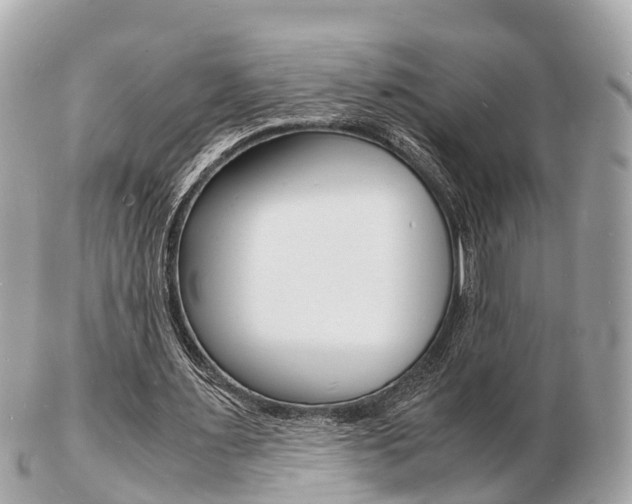 X0000103290483200808291111
