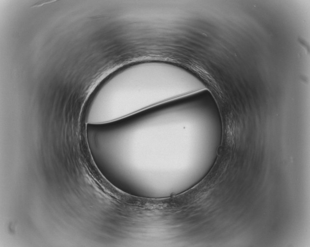 X0000103290484200808291111