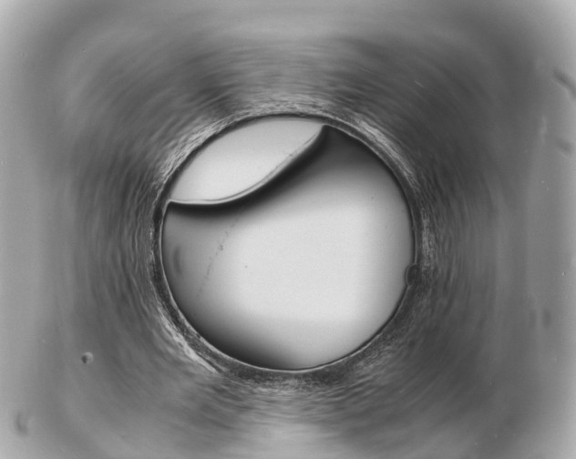 X0000103290485200808291111