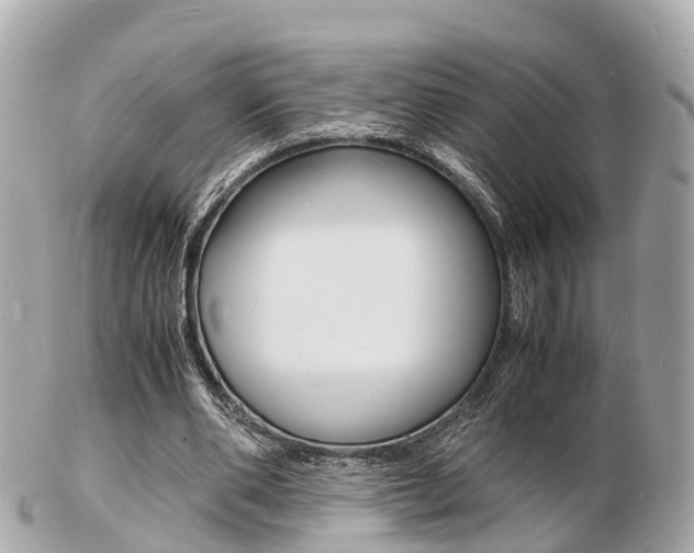 X0000103290486200808291111