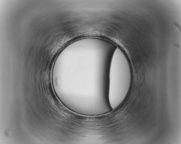 X0000103290487200808291111