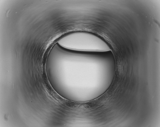X0000103290488200808291111