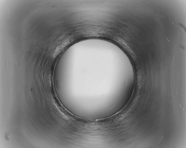 X0000103290489200808291111