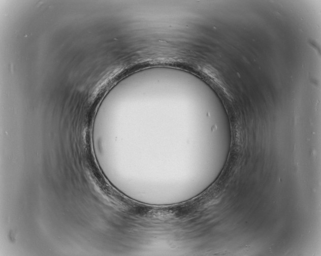 X0000103290491200808291111