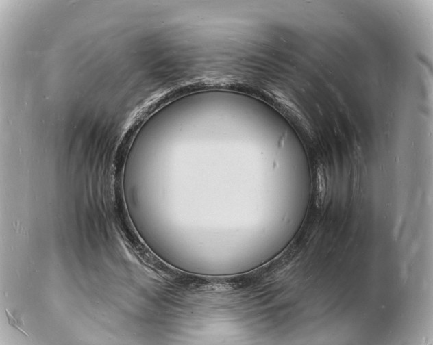 X0000103290492200808291111