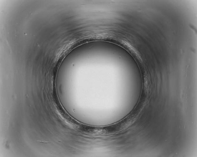 X0000103290493200808291111