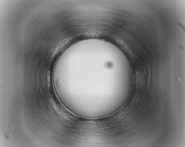 X0000103290494200808291111