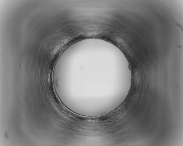 X0000103290495200808291111