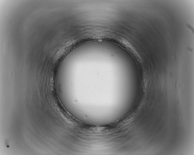 X0000103290497200808291111
