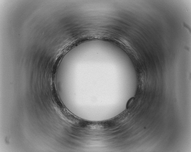 X0000103290500200808291111