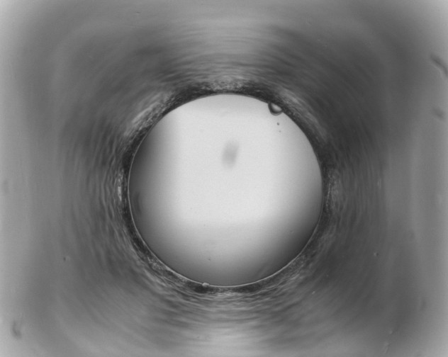 X0000103290501200808291111
