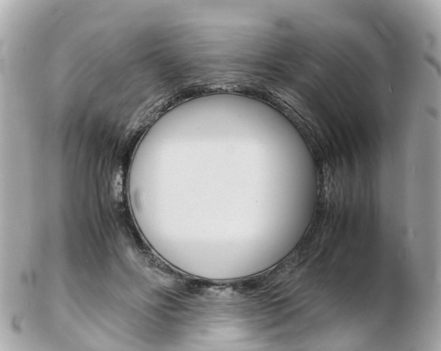 X0000103290502200808291111