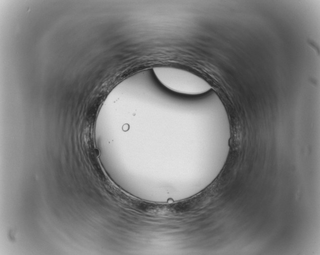 X0000103290503200808291111