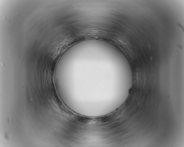 X0000103290504200808291111