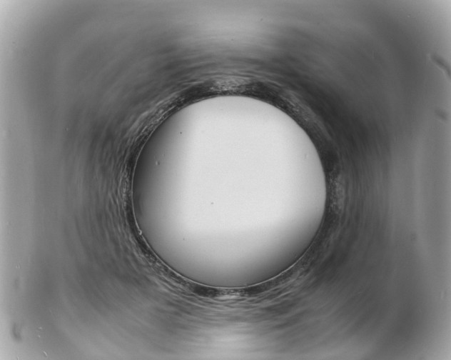 X0000103290505200808291111