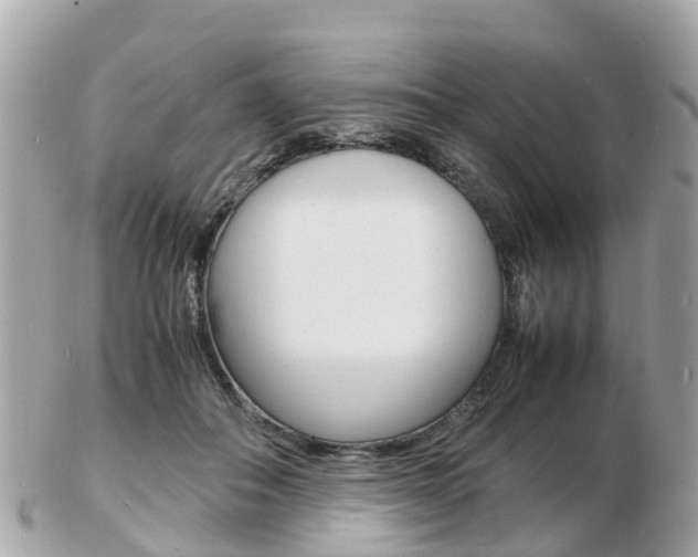 X0000103290506200808291111